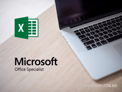 Microsoft Excel Experto